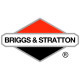 Двигатели Briggs-Stratton в Тынде